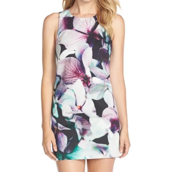 Felicity & Coco Floral Shift Dress - Picture 1 of 7